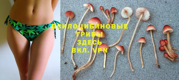 прущая мука Алзамай