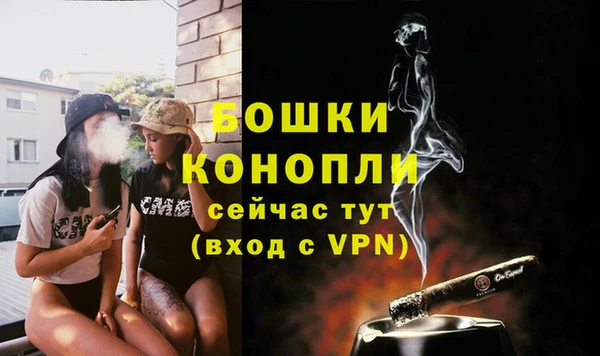 стаф Костерёво
