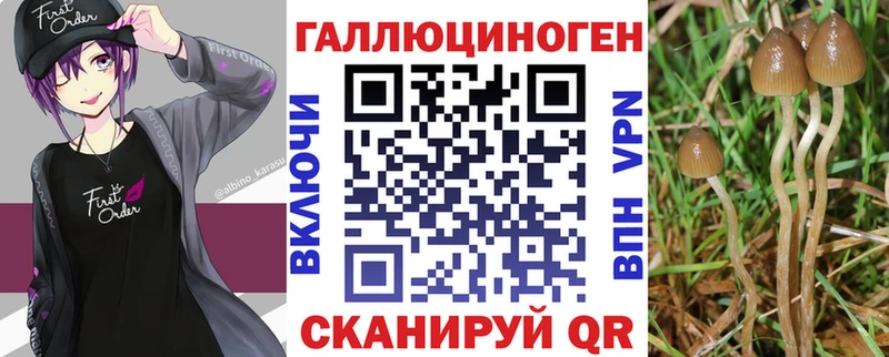 Псилоцибиновые грибы MAGIC MUSHROOMS  Бикин 